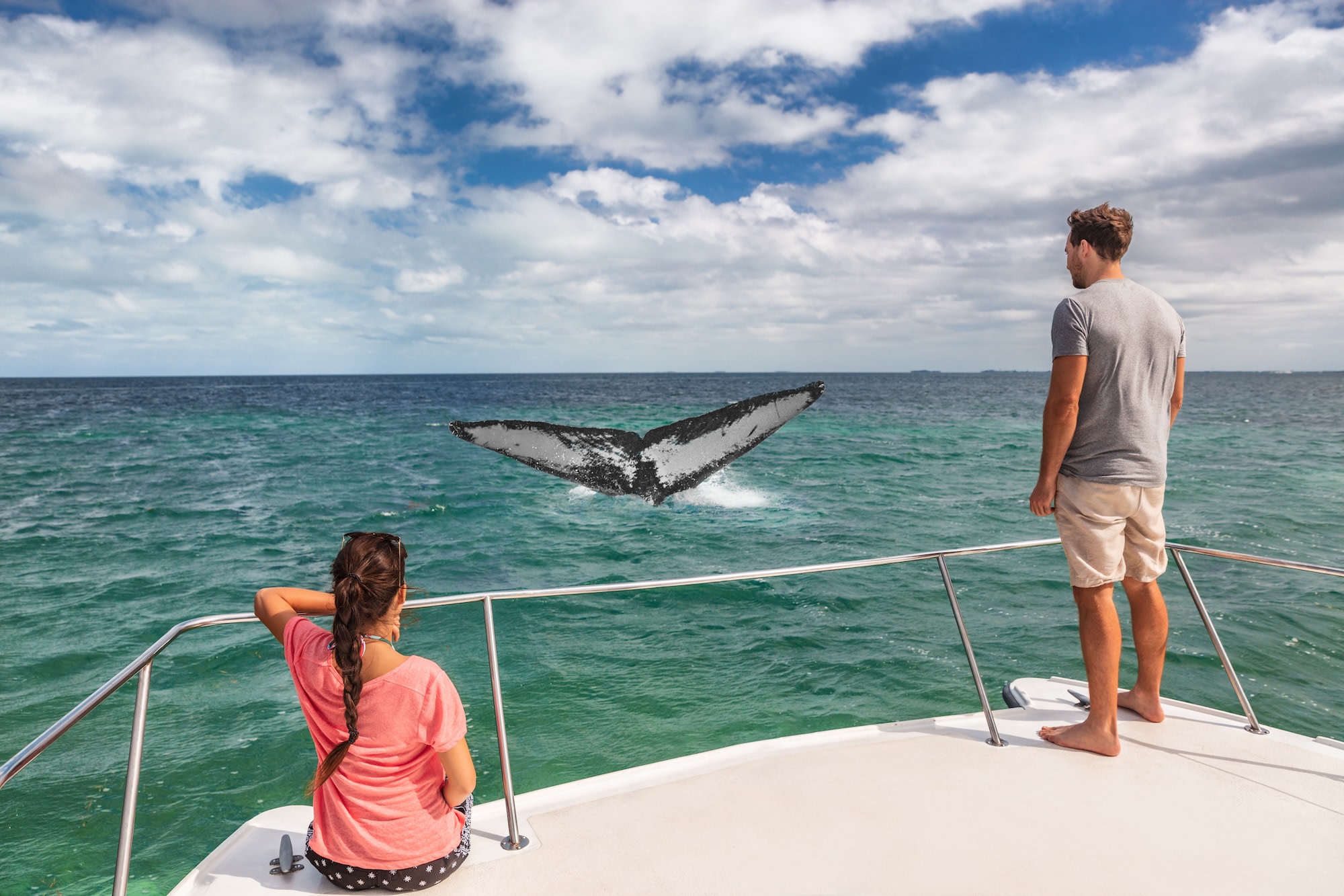 Whale watching boat tour tourists people on ship looking at humpback tail breaching ocean in tropical destination, summer travel vacation. Couple on deck of catamaran