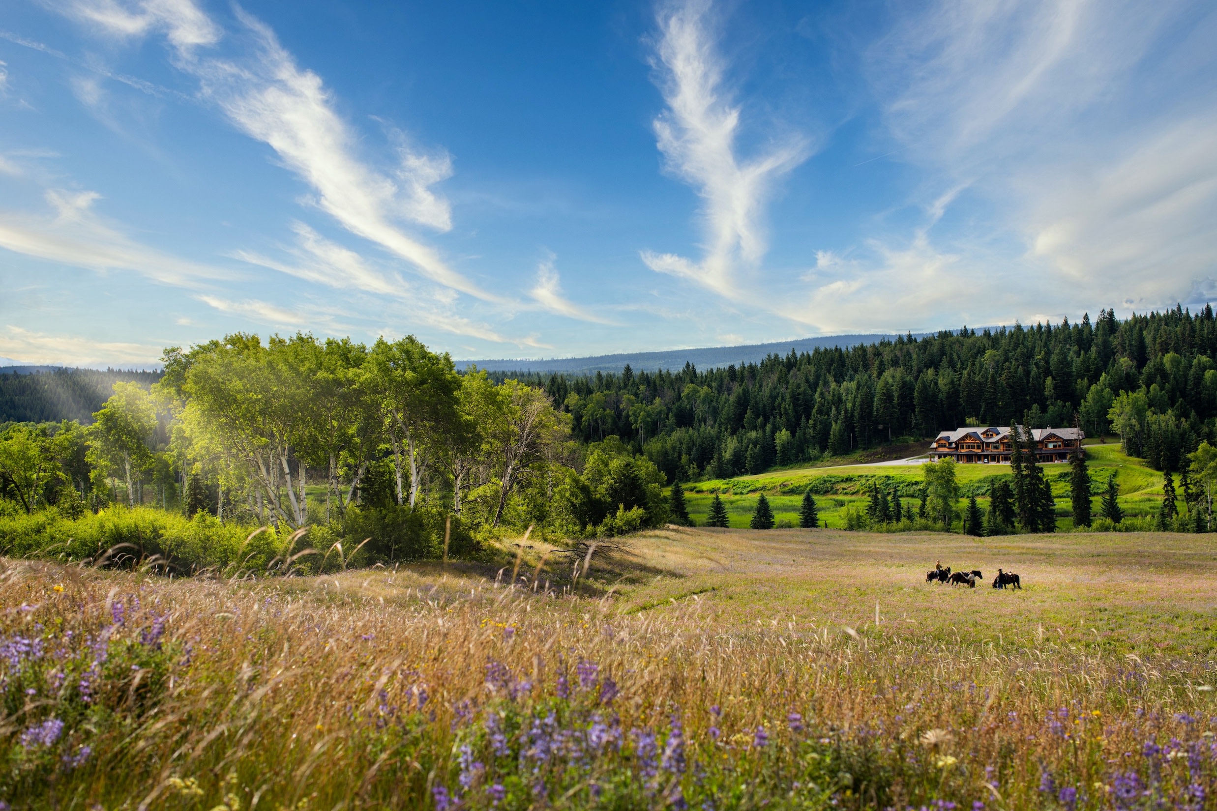 Large ranch with animals and home in British Columbia. 