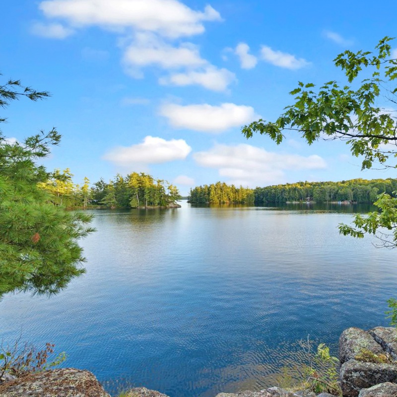 Why Muskoka Is a Celebrity Hot Spot: Inside Canada’s Luxury Cottage Country