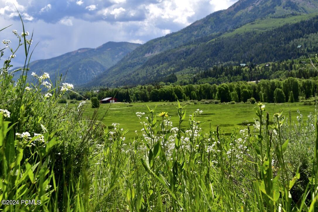 Open field with wild flowers and mountain views.