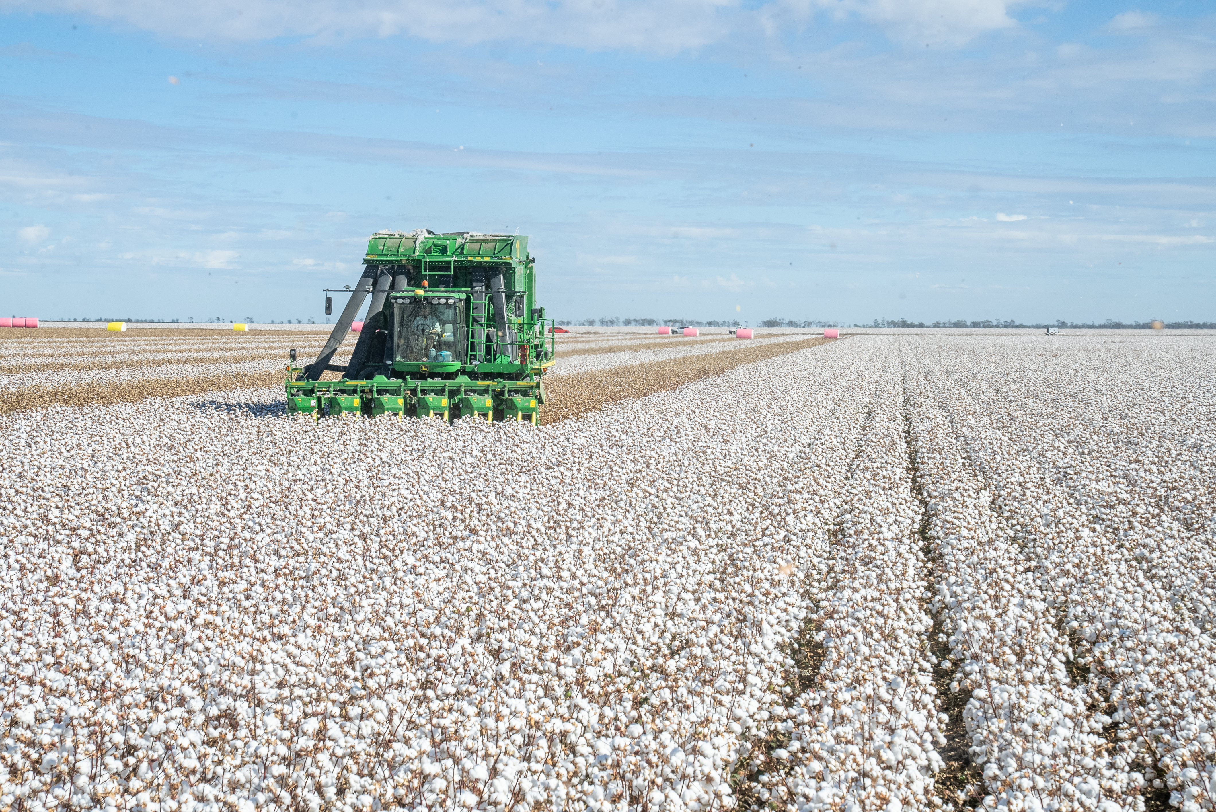 ALMABIN 1682221124 20