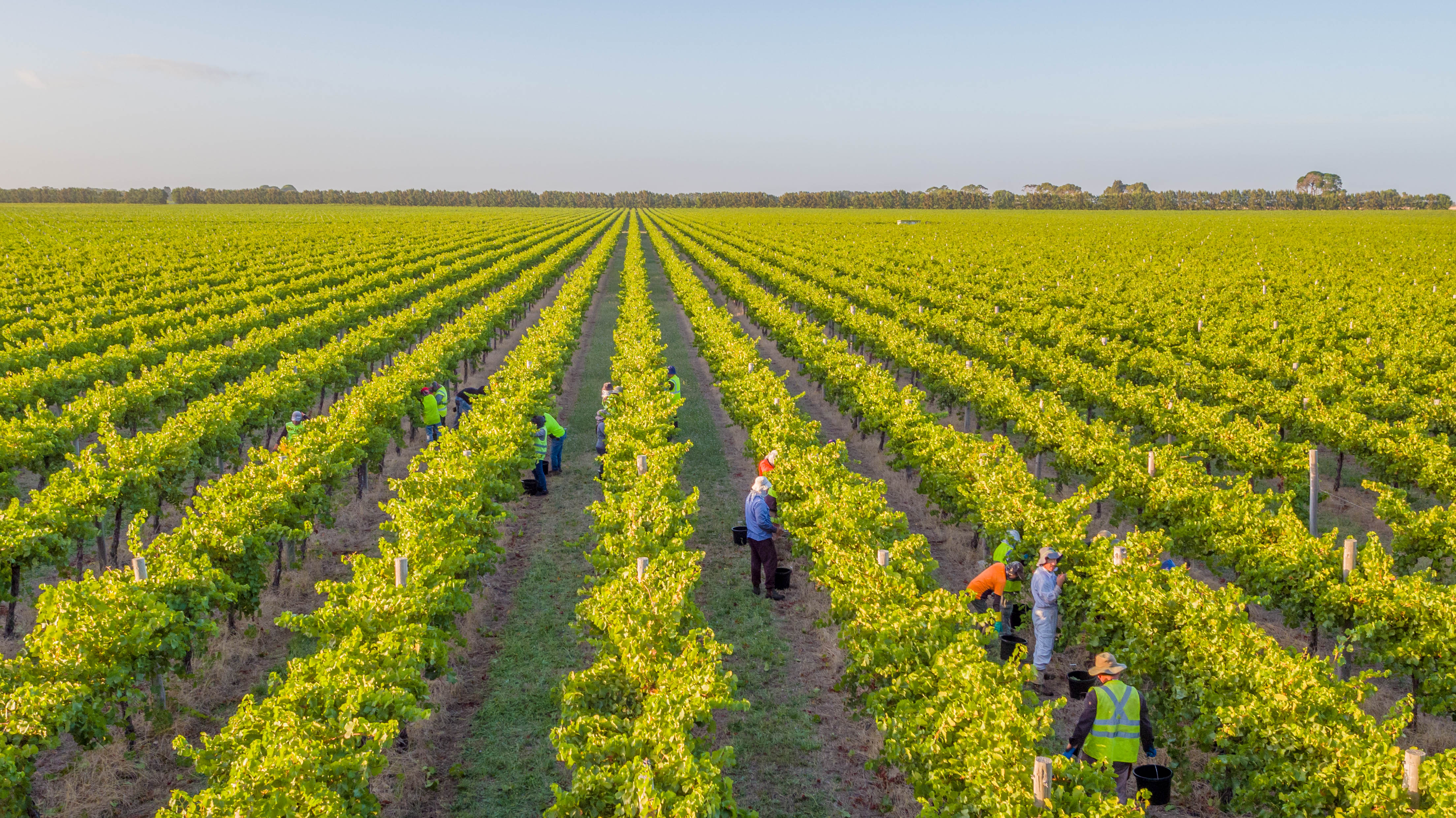 ALMABIN 1519763341 9