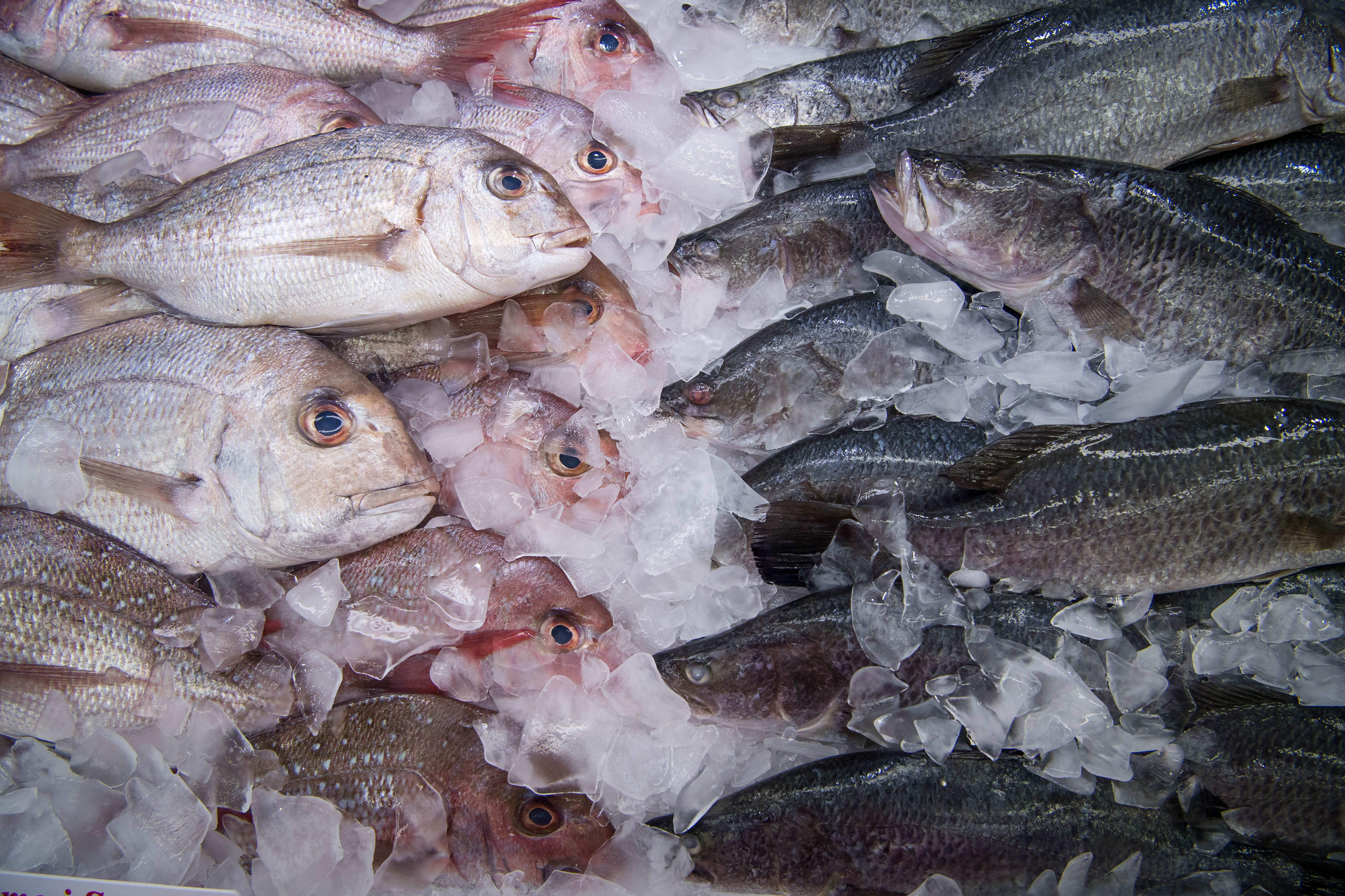 ALMABIN 1507834977 0