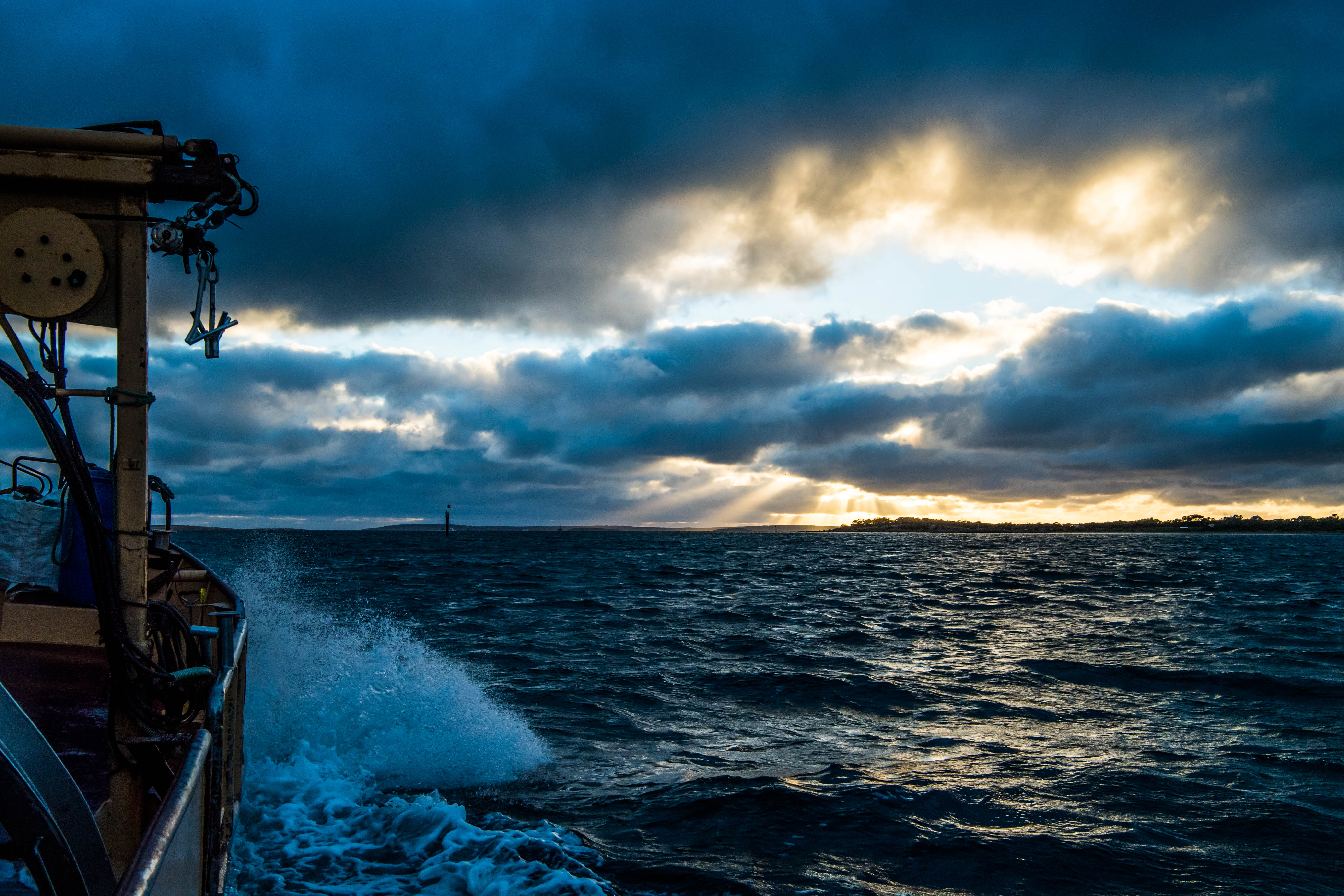 ALMABIN 1518983588 0