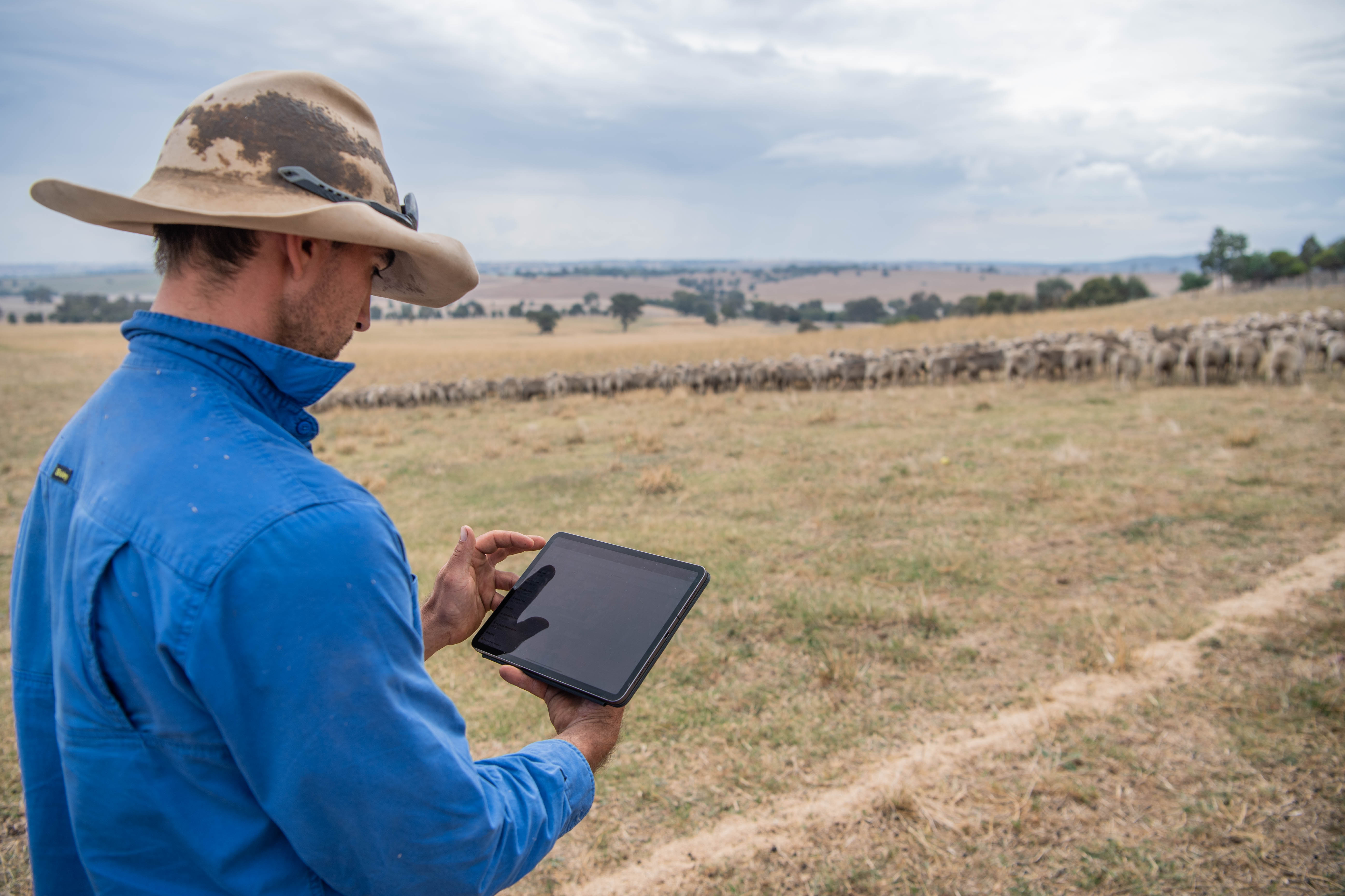 ALMABIN 1649302048 68