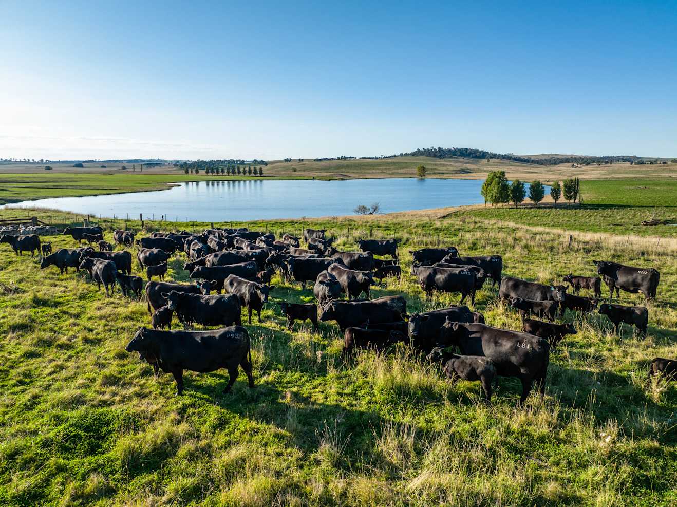 AIA Initiatives Common Approach to GHG Accounting AIA Initiatives Common Approach to GHG Accounting
