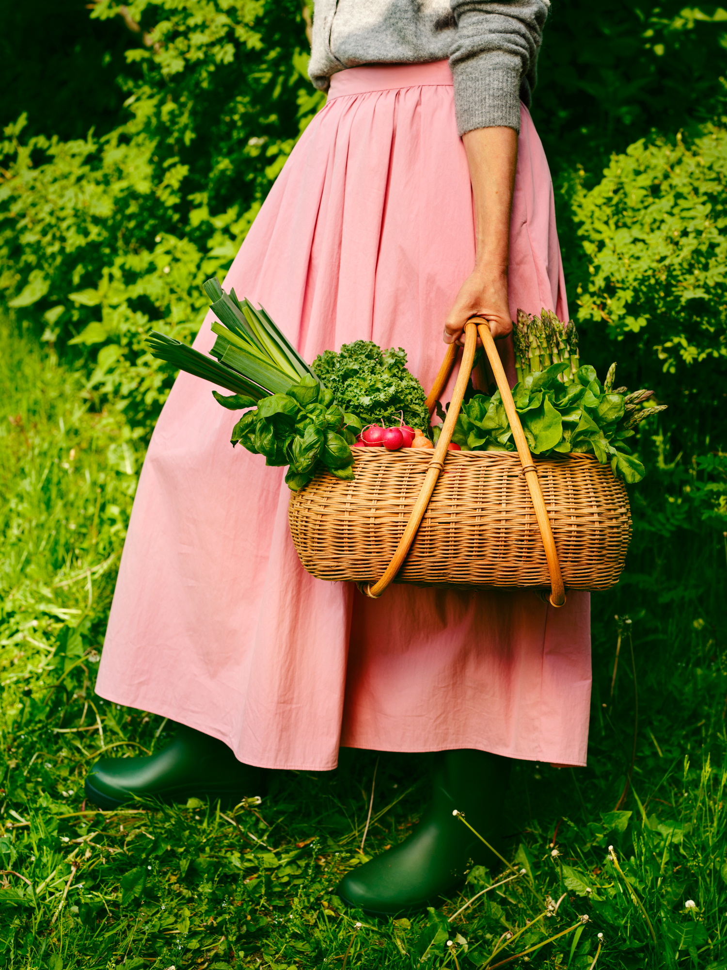 Alexandria 2541850 web