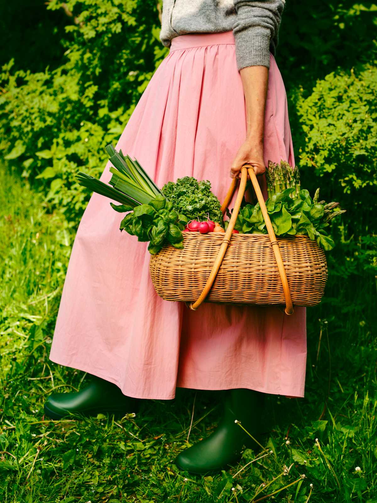 Alexandria 2541850 web