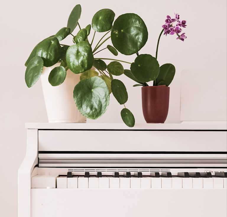 beazy-JxXFX3TfcRE-unsplash