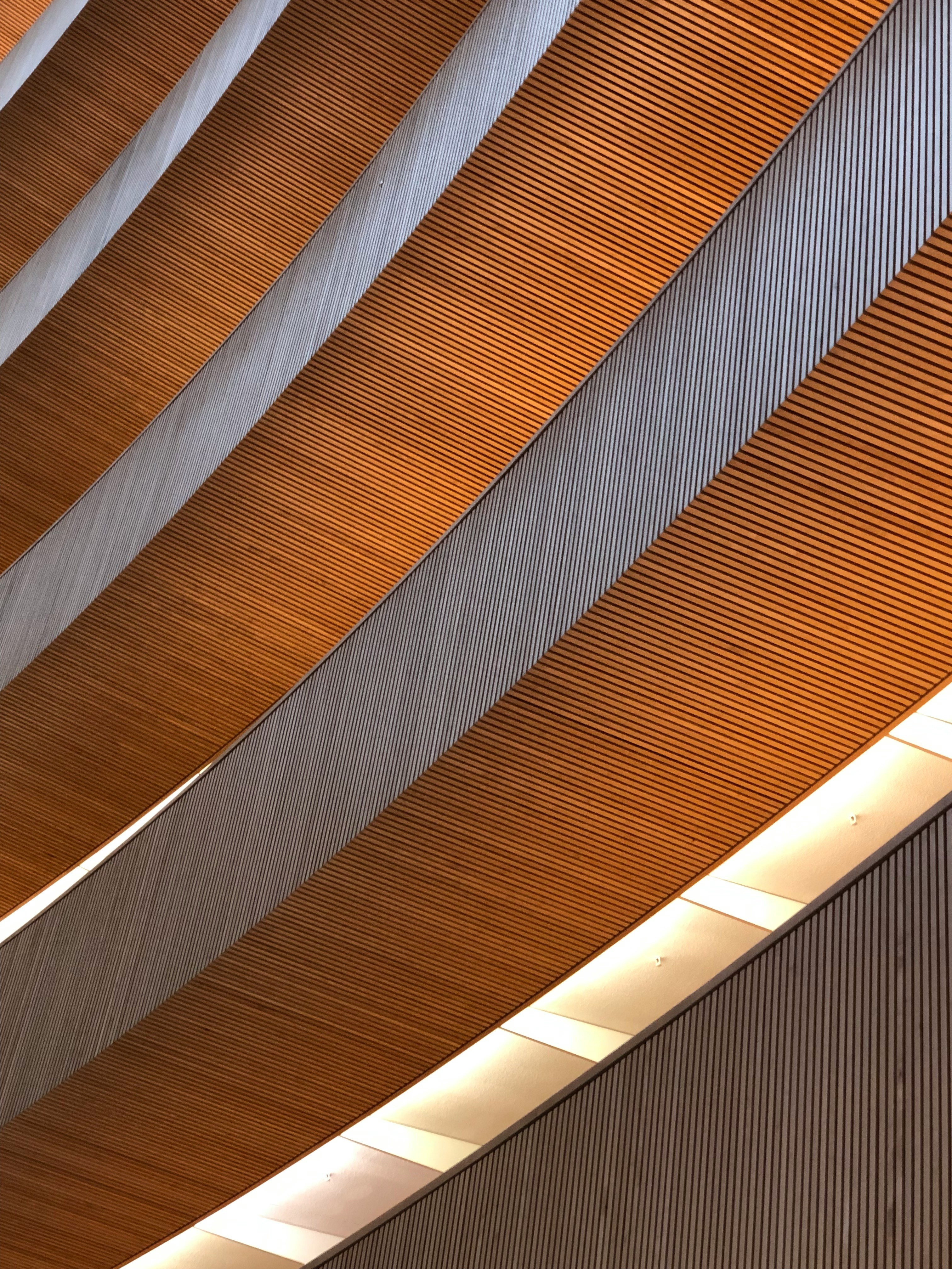 claudio-poggio-5s6SOd9bkK4-unsplash