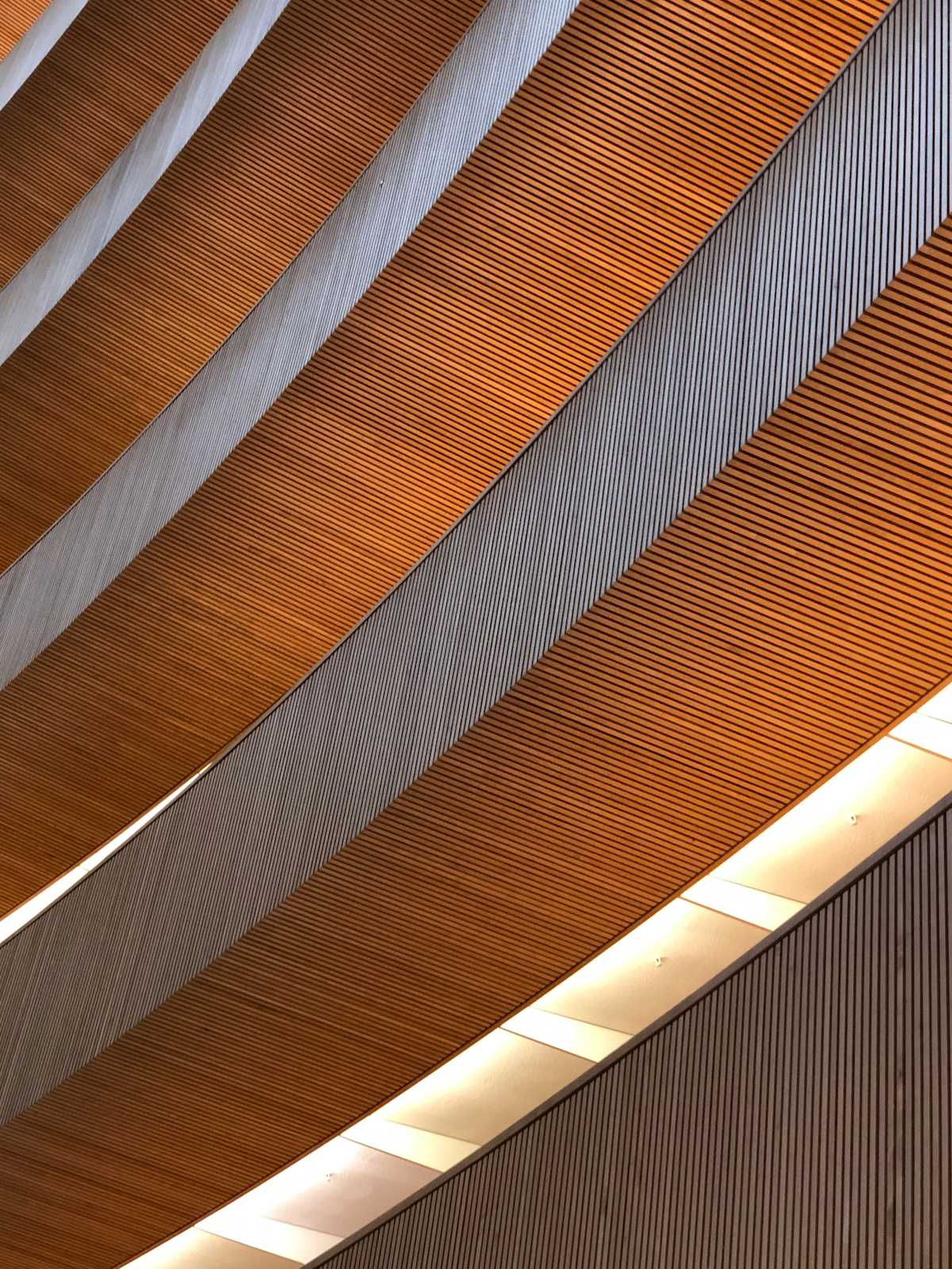 claudio-poggio-5s6SOd9bkK4-unsplash