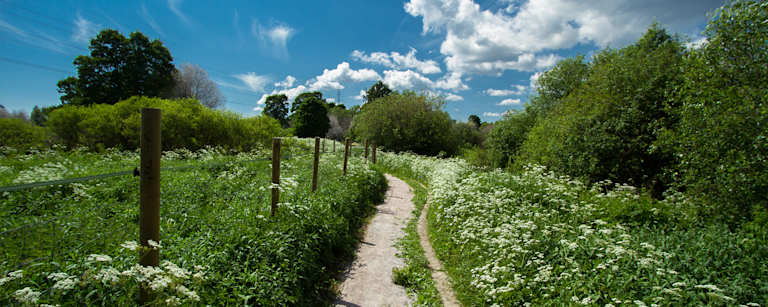 Rahastot pikakommentti 6-2020