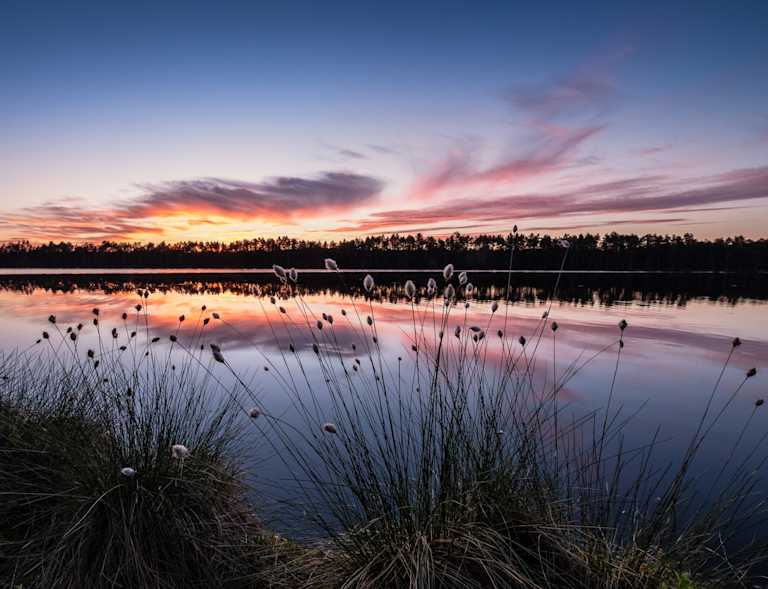 Markkinakatsaus Q2 2018