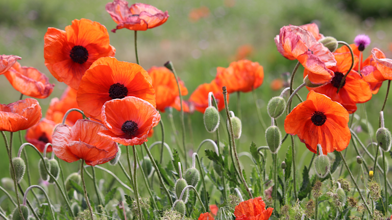 vastuullinen-sijoittaminen-esg