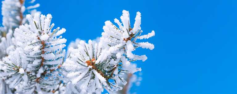 XS3280272082 - undefined