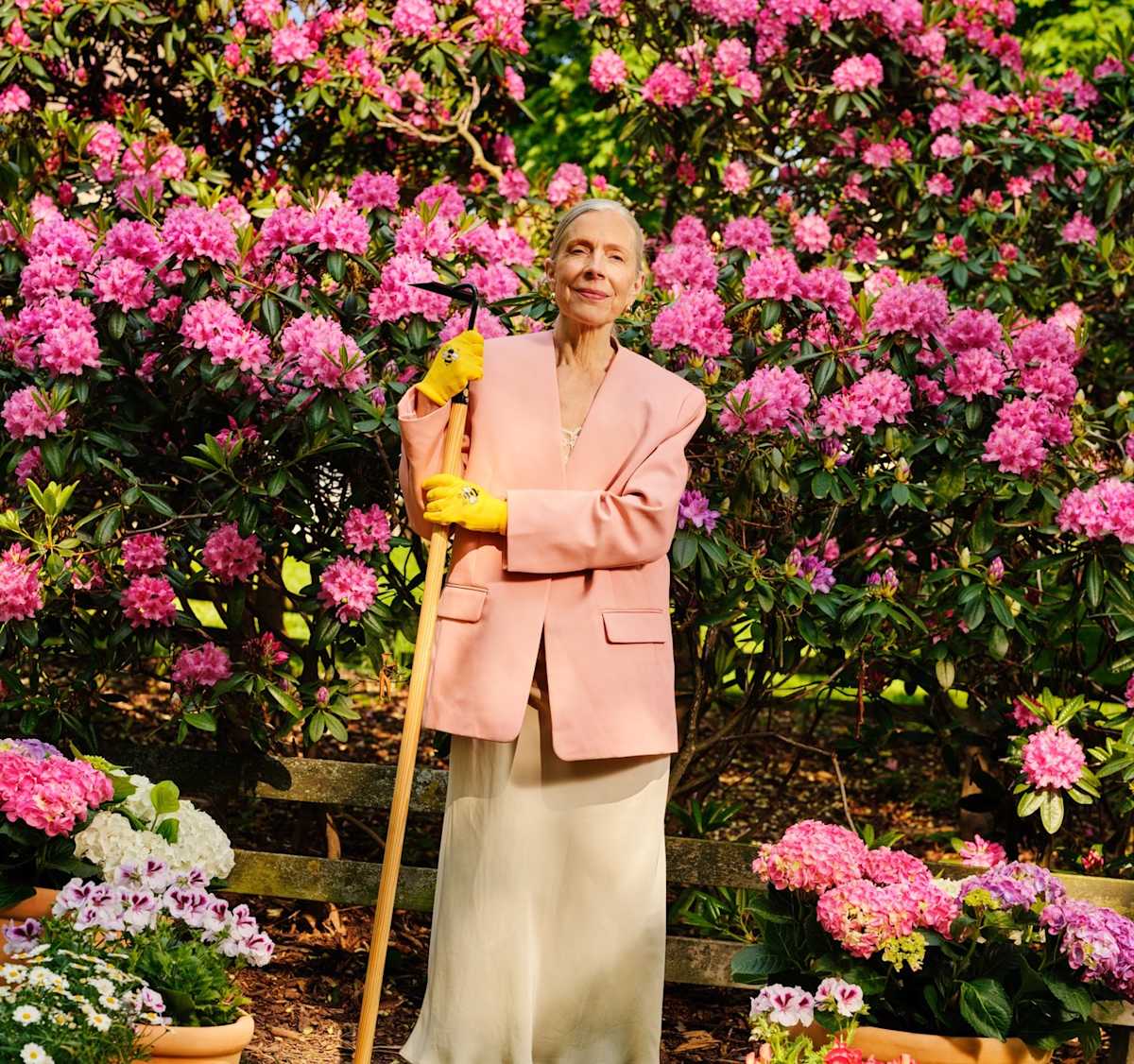 Alexandria 2541738 web