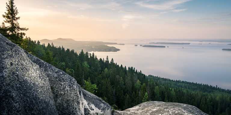 Tilinpäätöksen 2018 kuva 1100x550