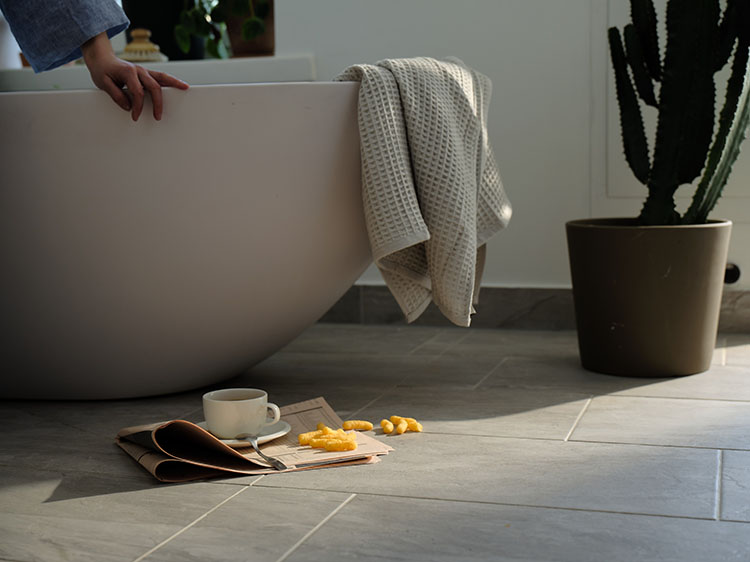 alexanderia brand images1061 small