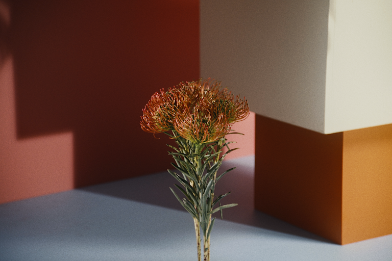 Salkunhoitajan katsaukset