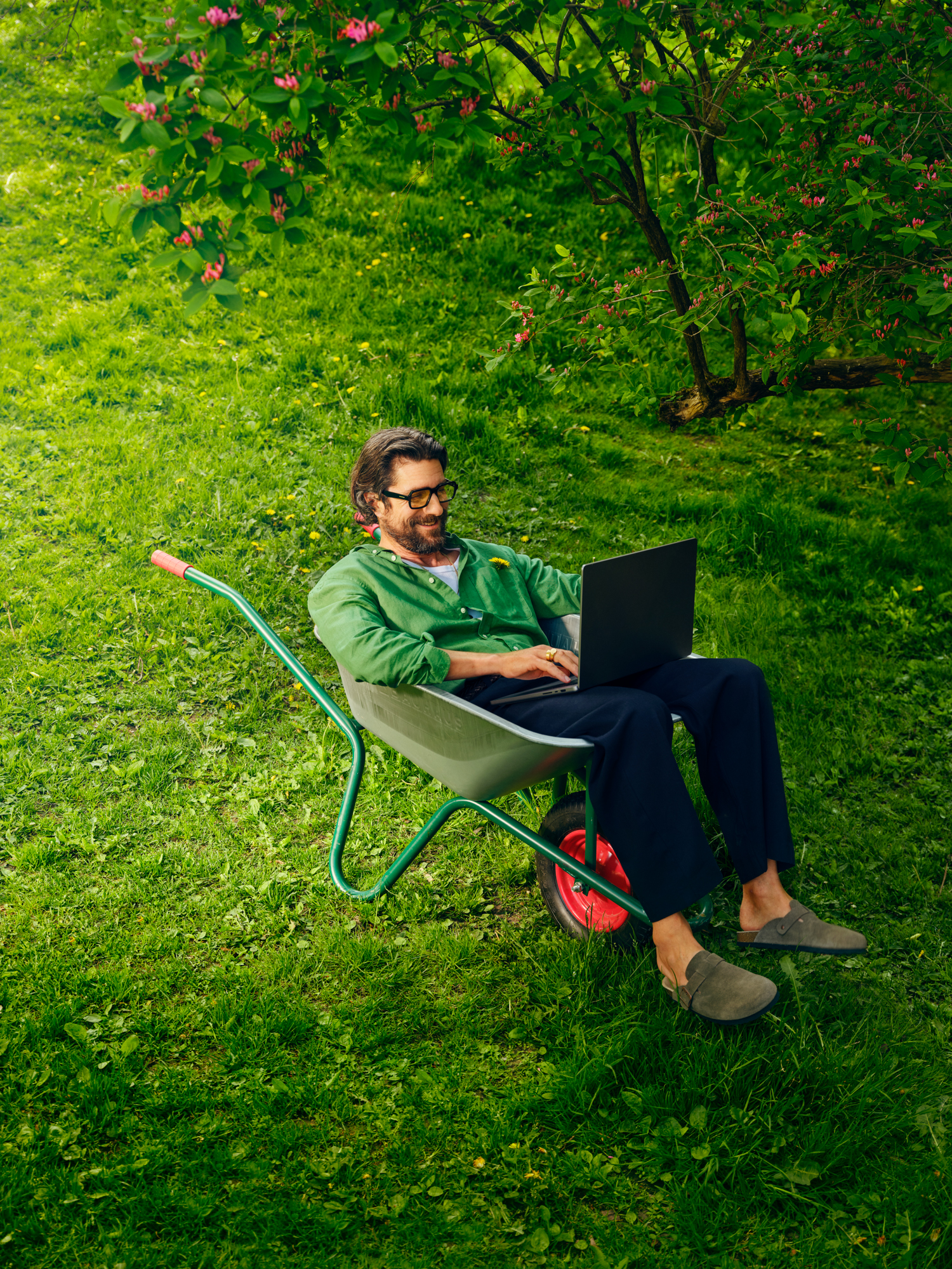 Alexandria 2541652 web