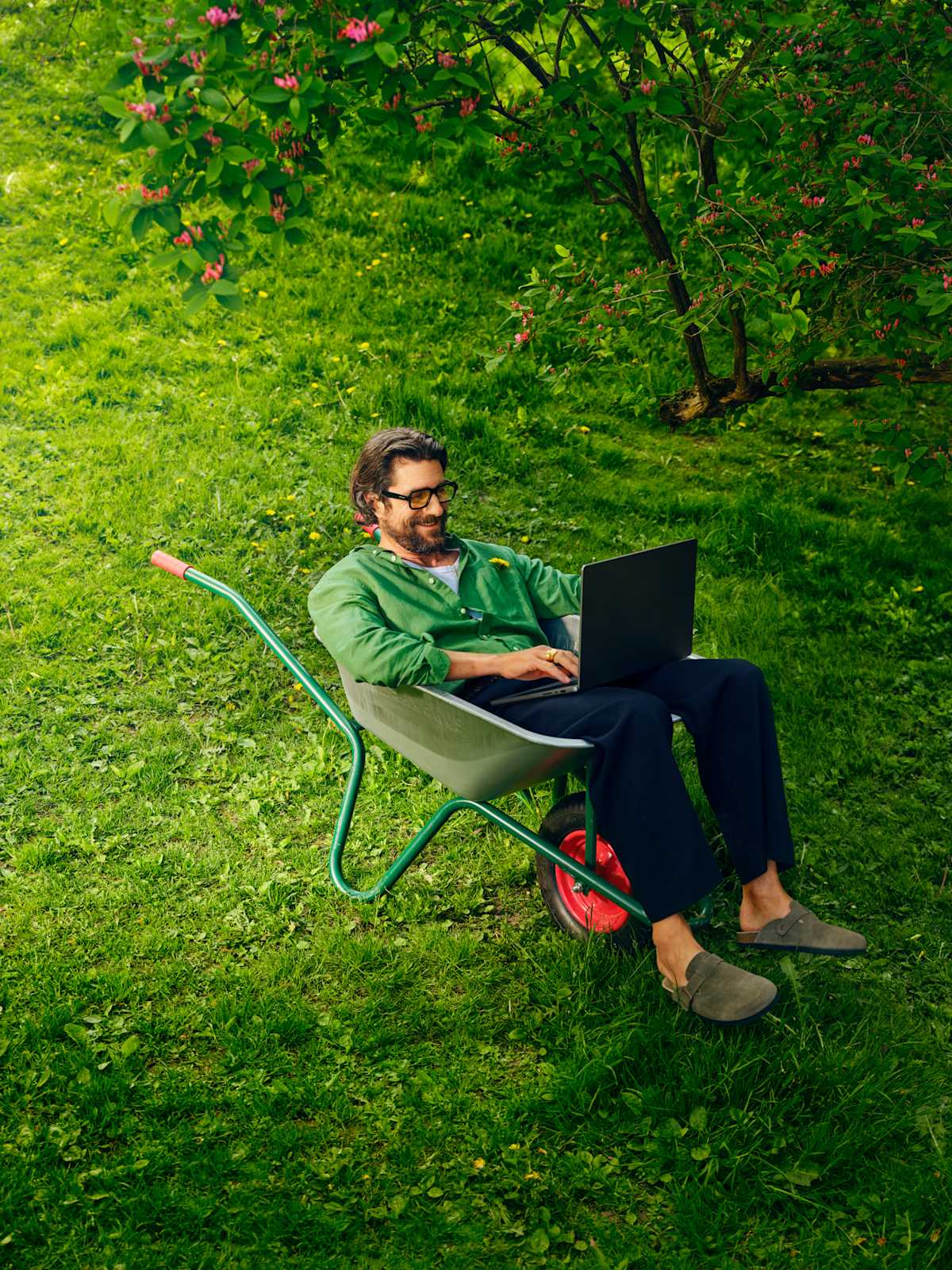 Alexandria 2541652 web