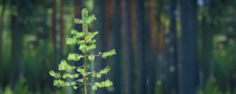 XS3132882187 - undefined