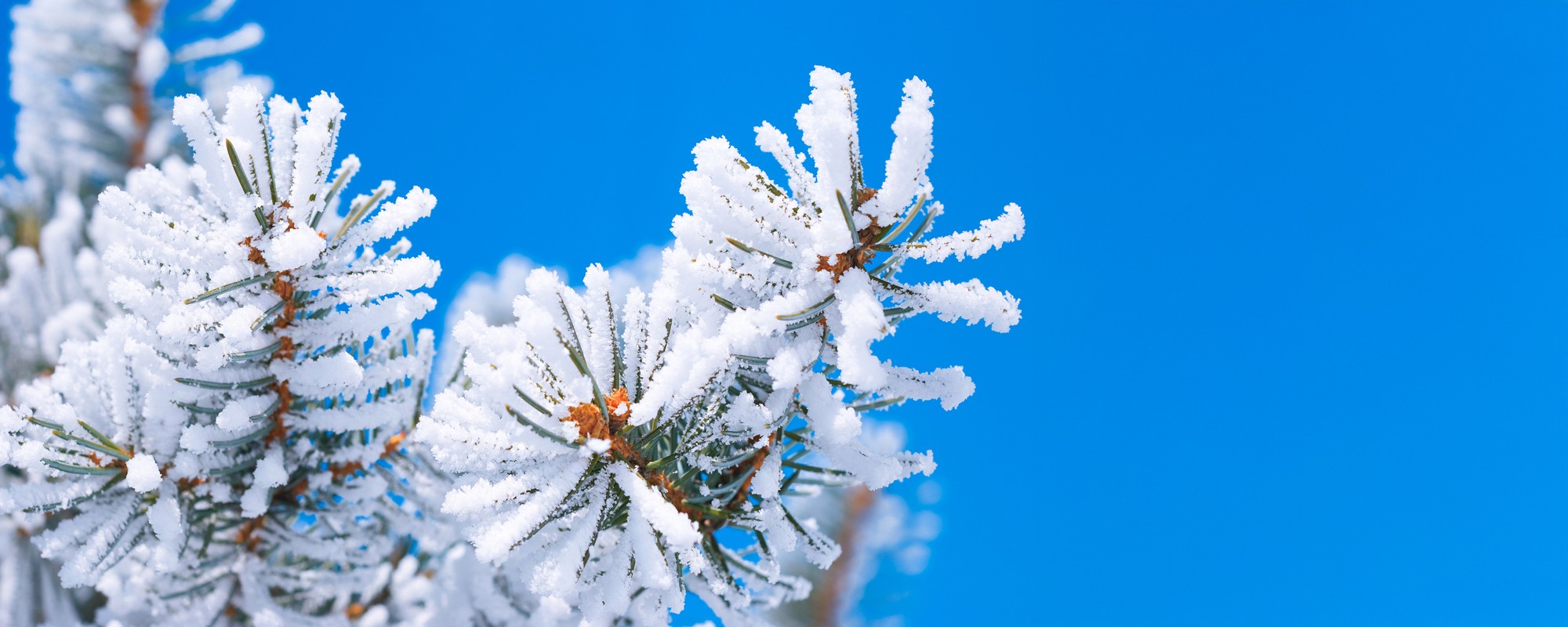 XS3236858943 - undefined