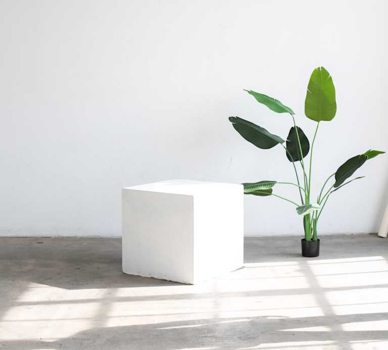 zoe-schaeffer-YH1h9tN8 ac-unsplash