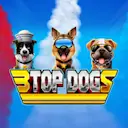 Play 3 Top Dogs on Starcasino.nl online casino