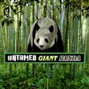 Jouer à Untamed Giant Panda sur le casino en ligne Starcasino.be