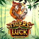 在Madisoncasino.be在线赌场上玩Tiger's Luck - Hold & Win™