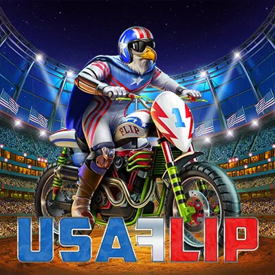 USA Flip