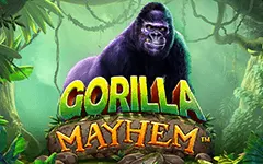 Speel Gorilla Mayhem bij Starcasino.nl 