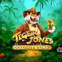 Play Gold Hit & Link: Tiger Jones on Starcasino.nl online casino