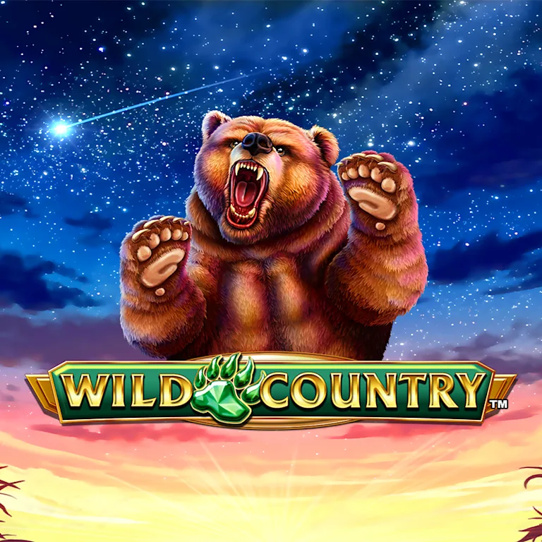 Wild Country