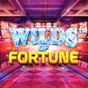 在Madisoncasino.be在线赌场上玩Wilds of Fortune
