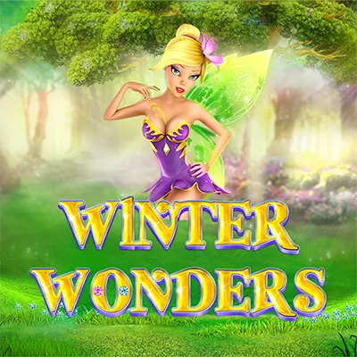 Winter Wonders