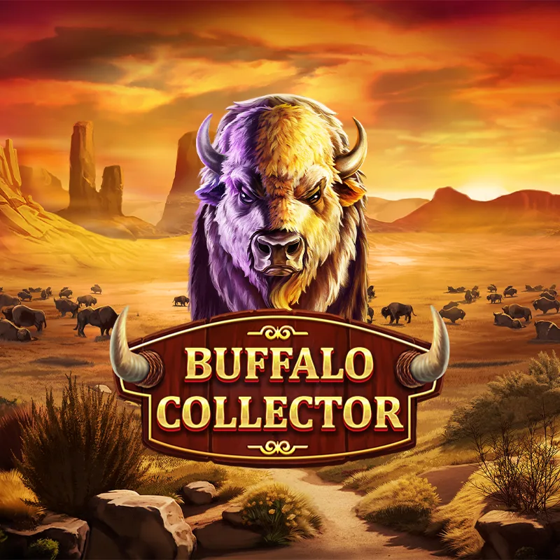 Buffalo Collector