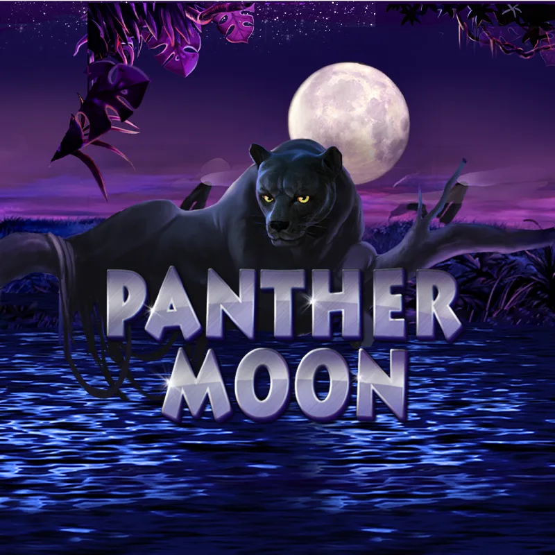 Panther Moon