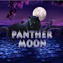 Juega a Panther Moon en el casino en línea de Solcasino.es