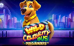 Play Wild Celebrity Bus Megaways™ on Starcasino.be online casino