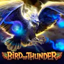 Jouer à Bird of Thunder sur le casino en ligne Starcasino.nl