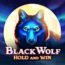 Jouer à Black Wolf sur le casino en ligne Starcasino.be