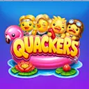 Play Quackers on Solcasino.es online casino