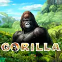 Juega a Gorilla en el casino en línea de Solcasino.es