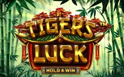 Play Tiger's Luck - Hold & Win™ on Madisoncasino.be online casino