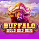 Jouer à Buffalo Hold and Win sur le casino en ligne Starcasino.be