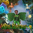 在Madisoncasino.be在线赌场上玩Wild Fairies Dice