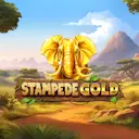 在Madisoncasino.be在线赌场上玩Stampede Gold™