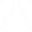 Wishbone